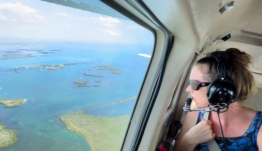 Behind the Art: Scouting Paintings from the Sky