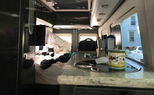 Minimalist Living and Maximum Creativity: My 'Less is More' Journey in a Van // 30 Days; 30 Paintings