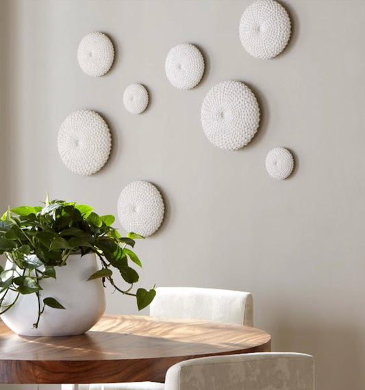 Sea Urchin Wall Art, Set Of 4