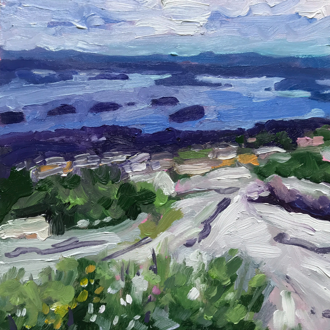 View from Cadillac Mountain, Acadia National Park