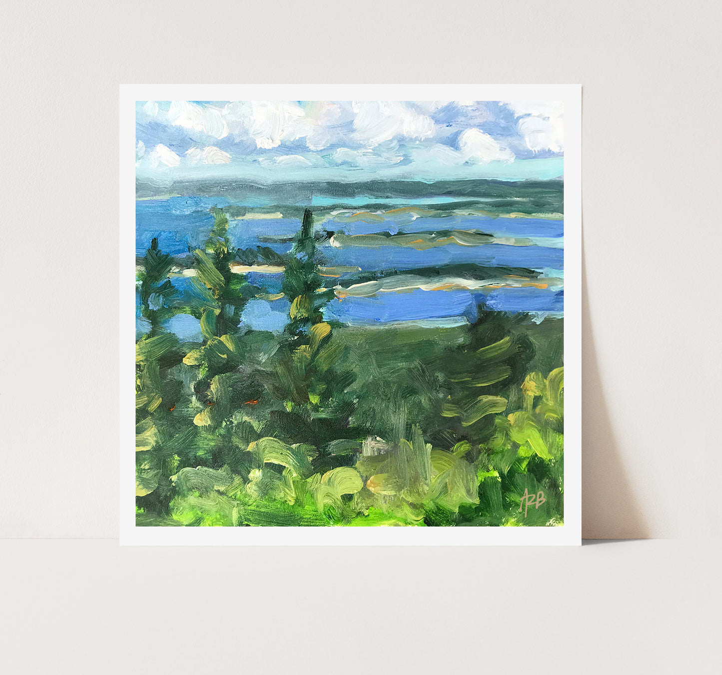 Acadia National Park, Winter Harbor Facing Northwest (Print)