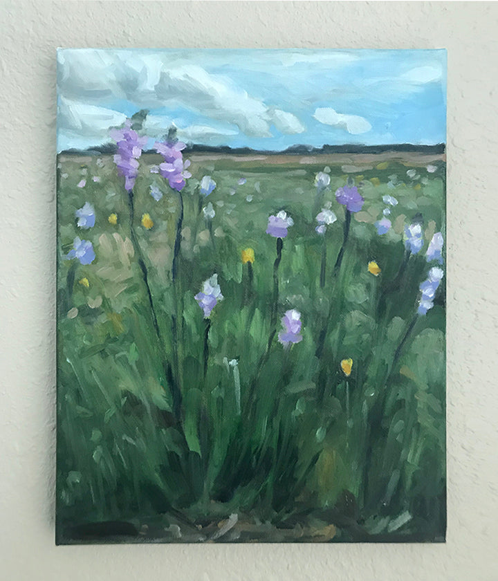 Summer Meadow 12x9
