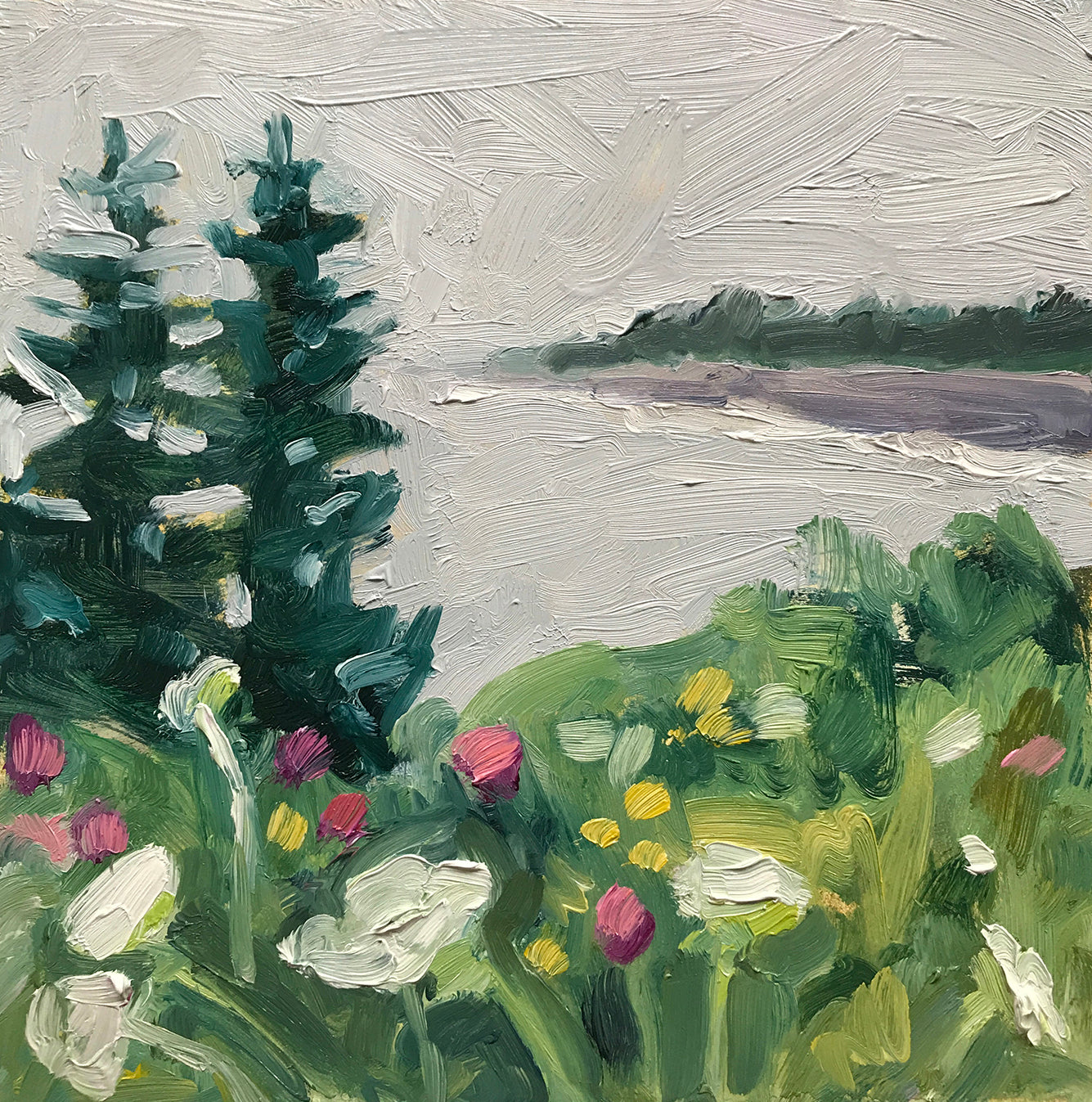 Wildflowers at Pemaquid Point