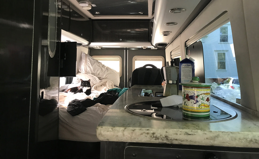 Minimalist Living and Maximum Creativity: My 'Less is More' Journey in a Van // 30 Days; 30 Paintings