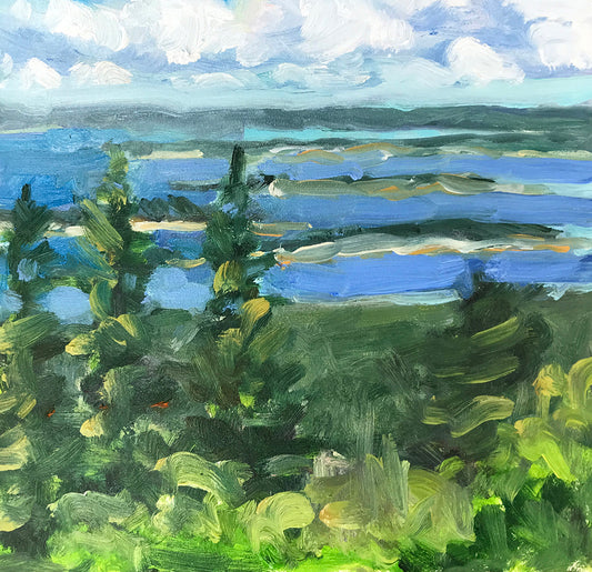 Exploring the Quiet Side of Acadia: Hiking to Schoodic Head for a Stunning View, 30 Days 30 Paintings