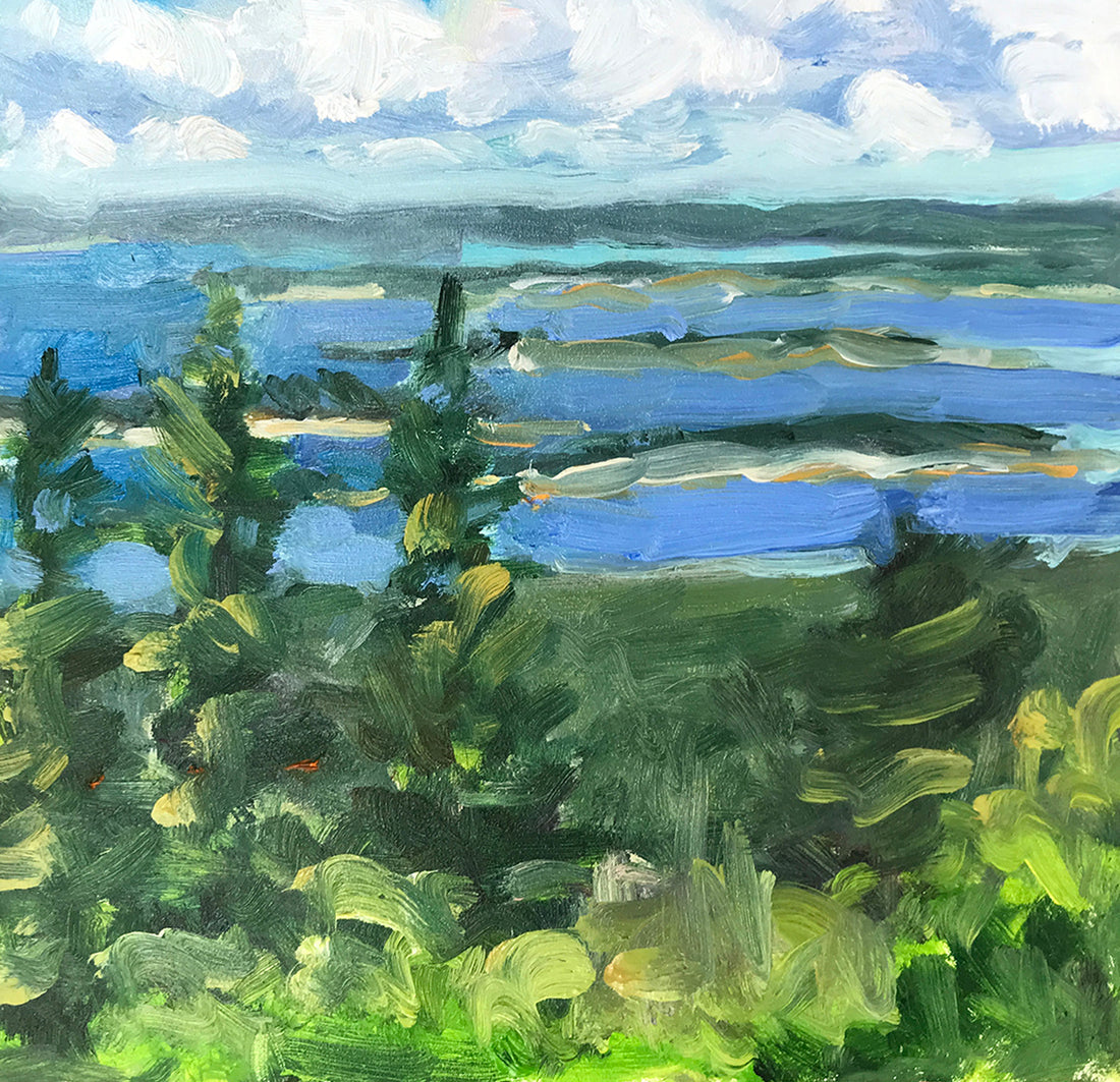 Exploring the Quiet Side of Acadia: Hiking to Schoodic Head for a Stunning View, 30 Days 30 Paintings
