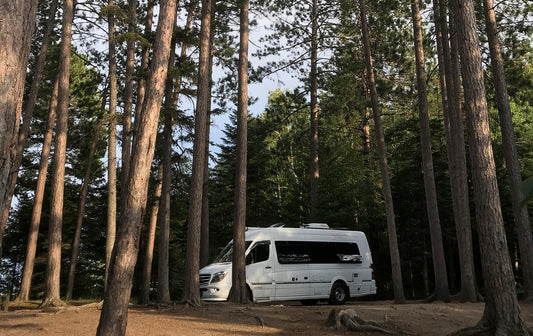How Vanlife Made My Summer Dream Possible
