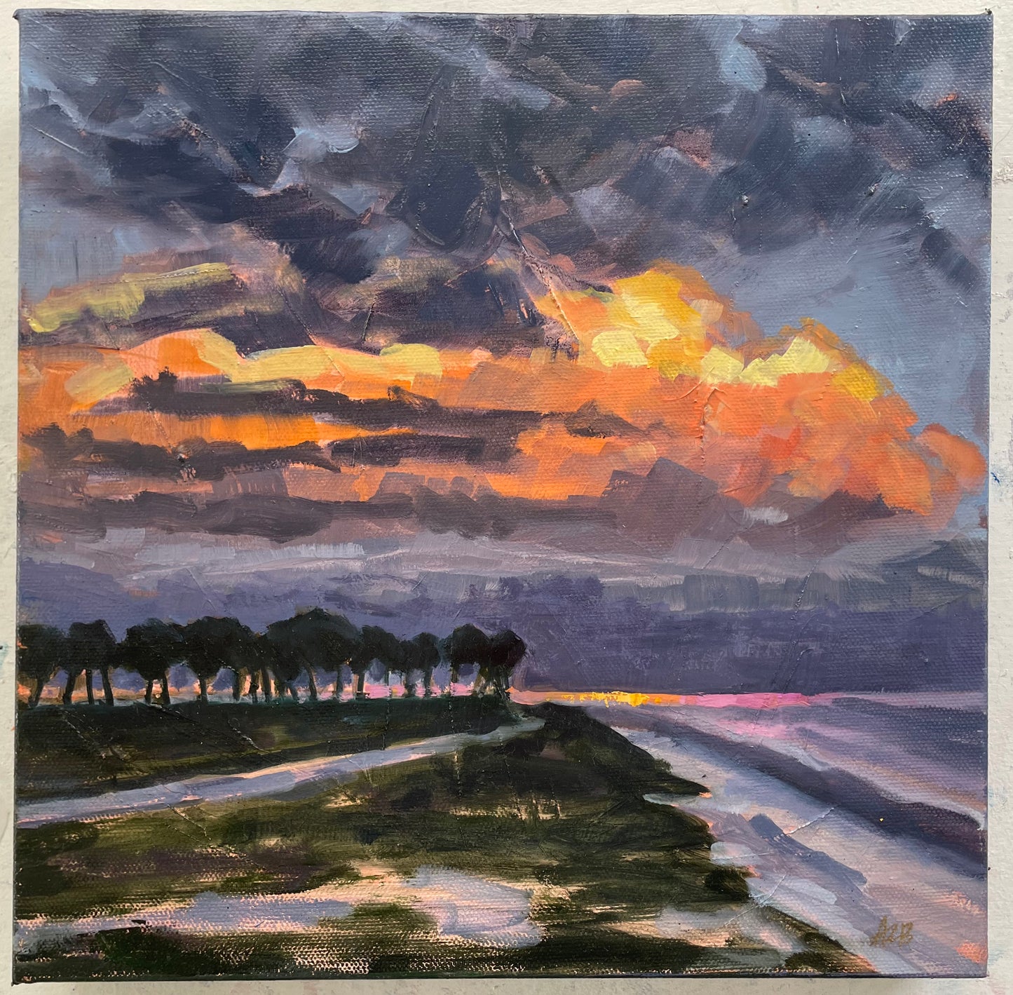 Sunset over the Palms, 12x12 inches