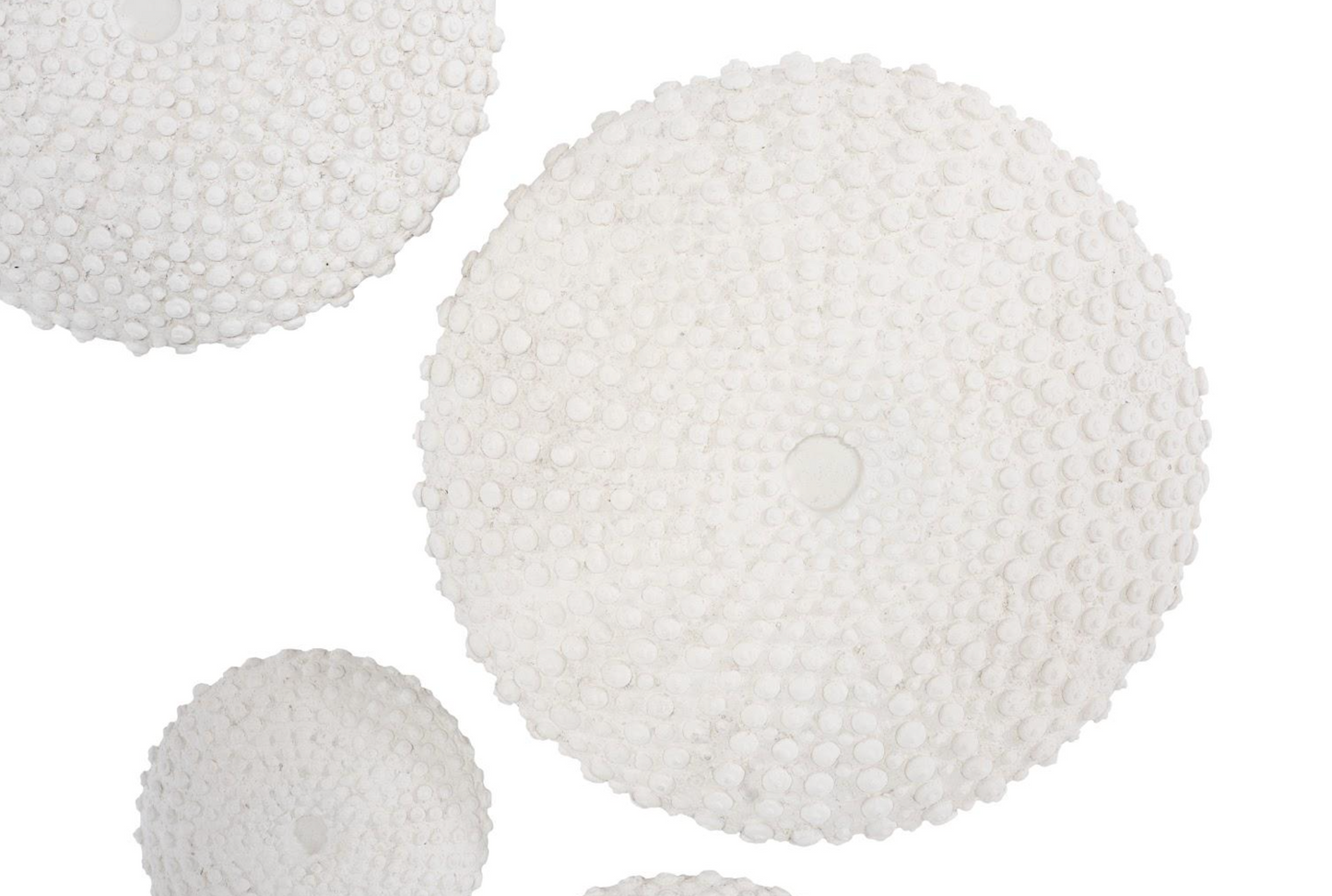 Sea Urchin Wall Art, Set Of 4