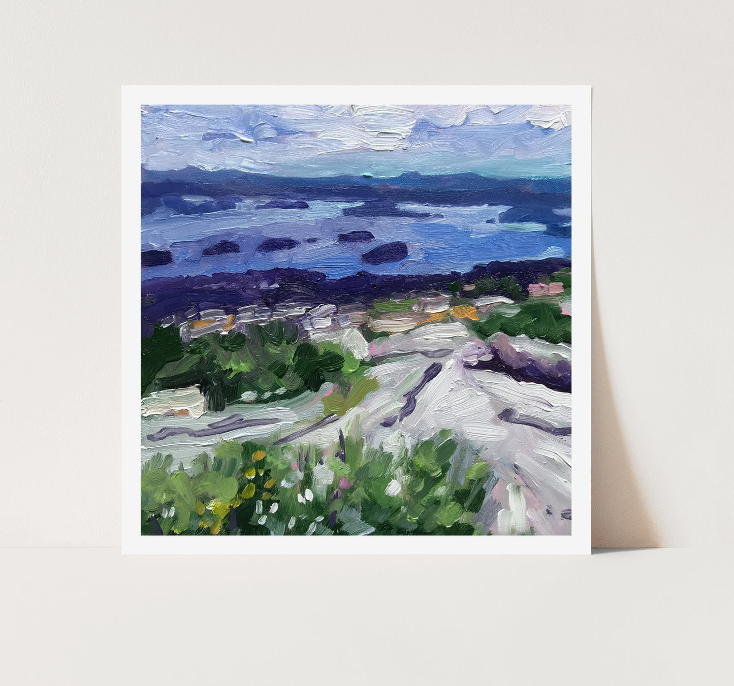 The View from Cadillac Mountain, Acadia National Park (Print)