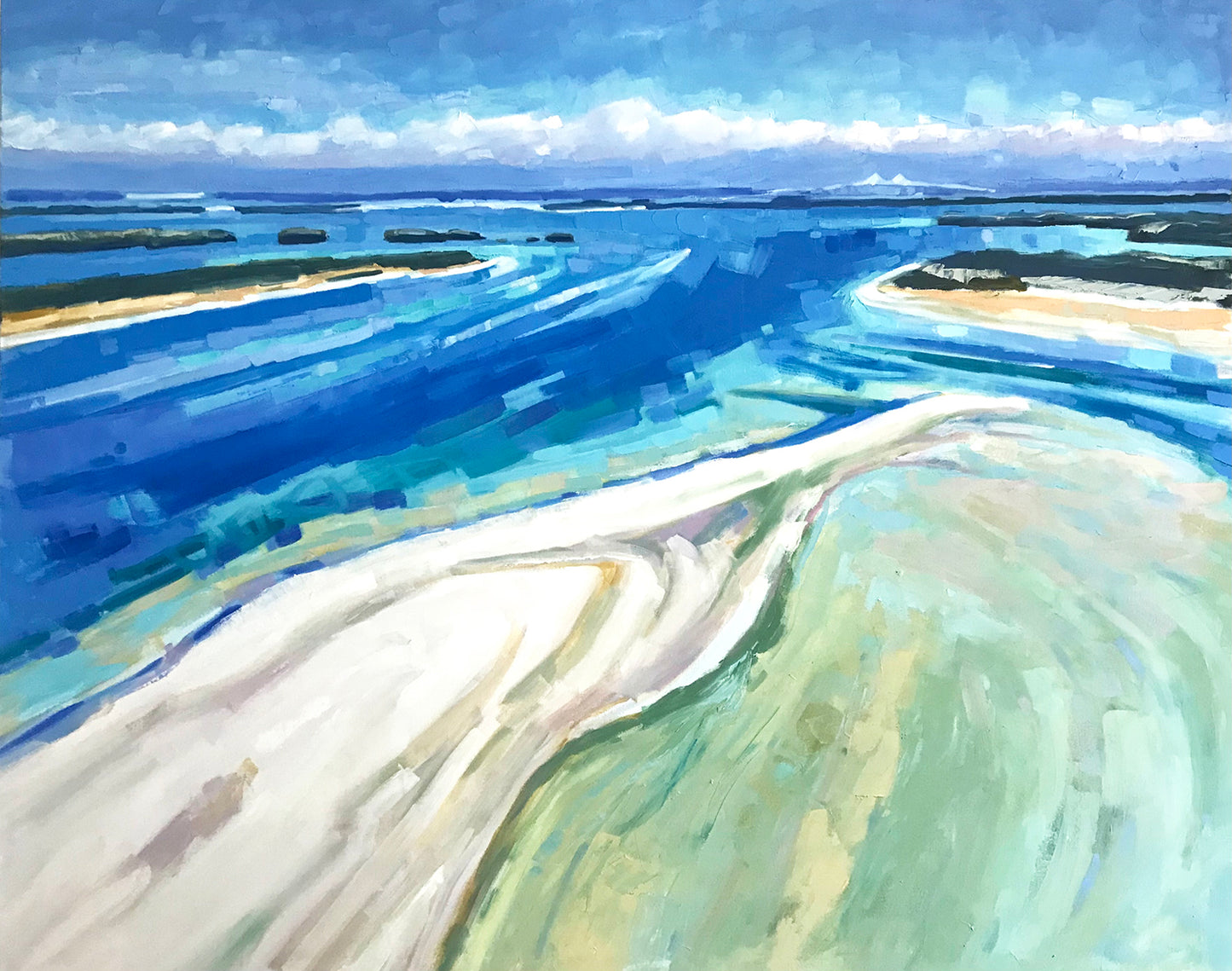 Paradise - Shell Key Preserve to Skyway Bridge 60x48 inches