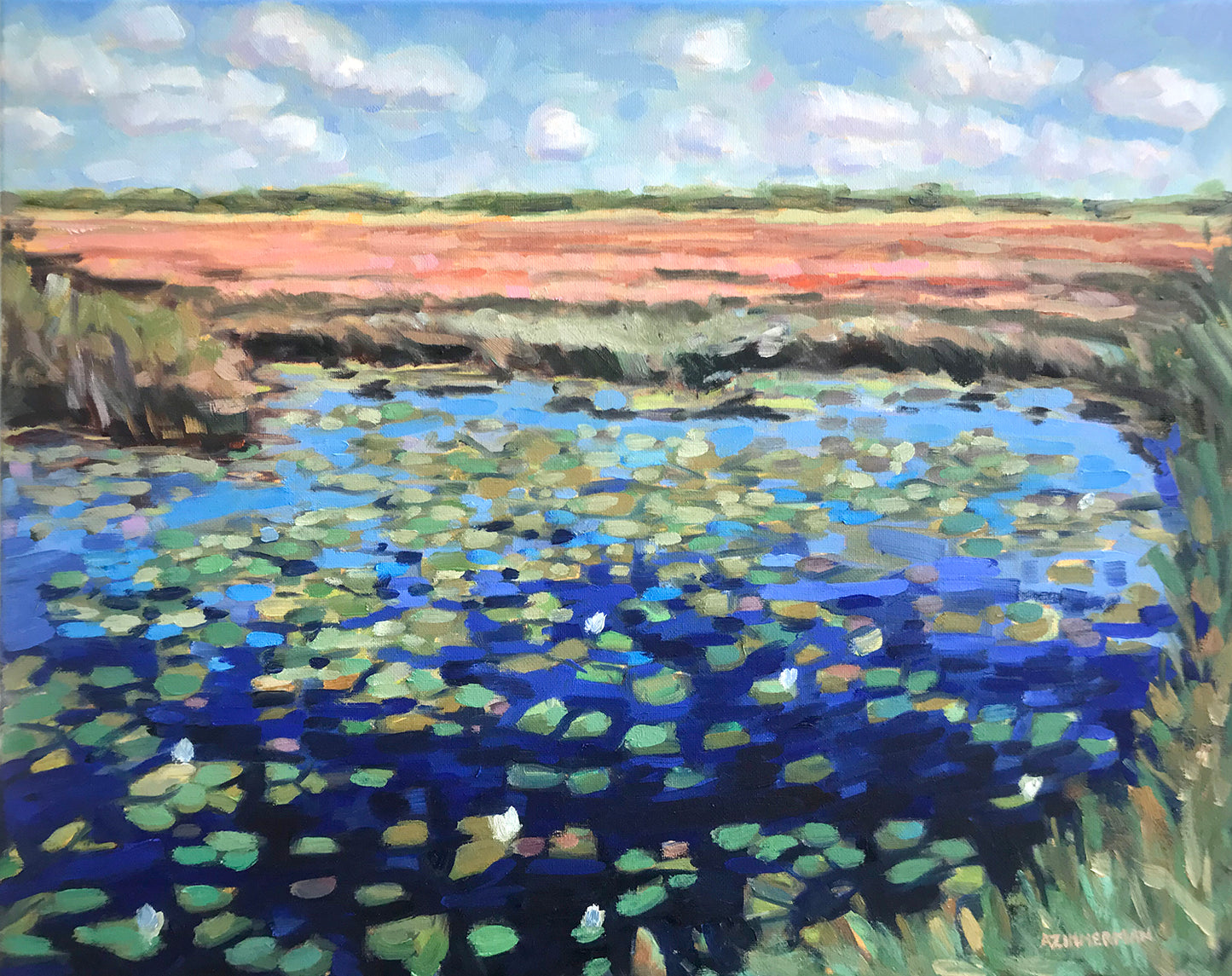 Morning Lily Pads, 20x16 inches