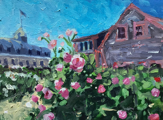 Monhegan Roses