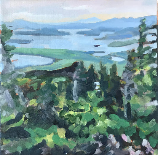 View from Big Moose Mountain, Moosehead Lake, ME 8x8